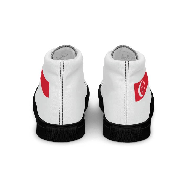 singapore product image (2)