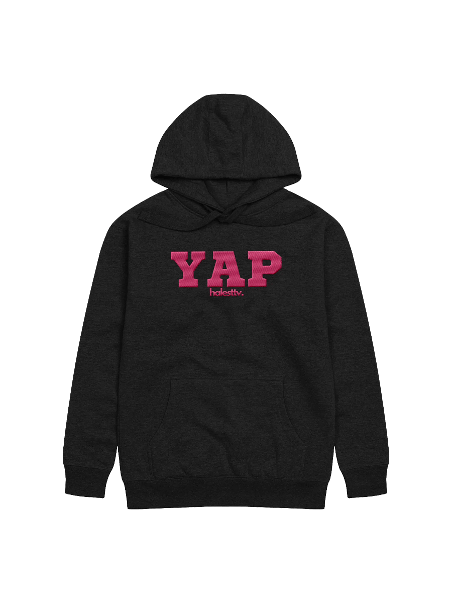 YAP embroidered hoodie product image (2)