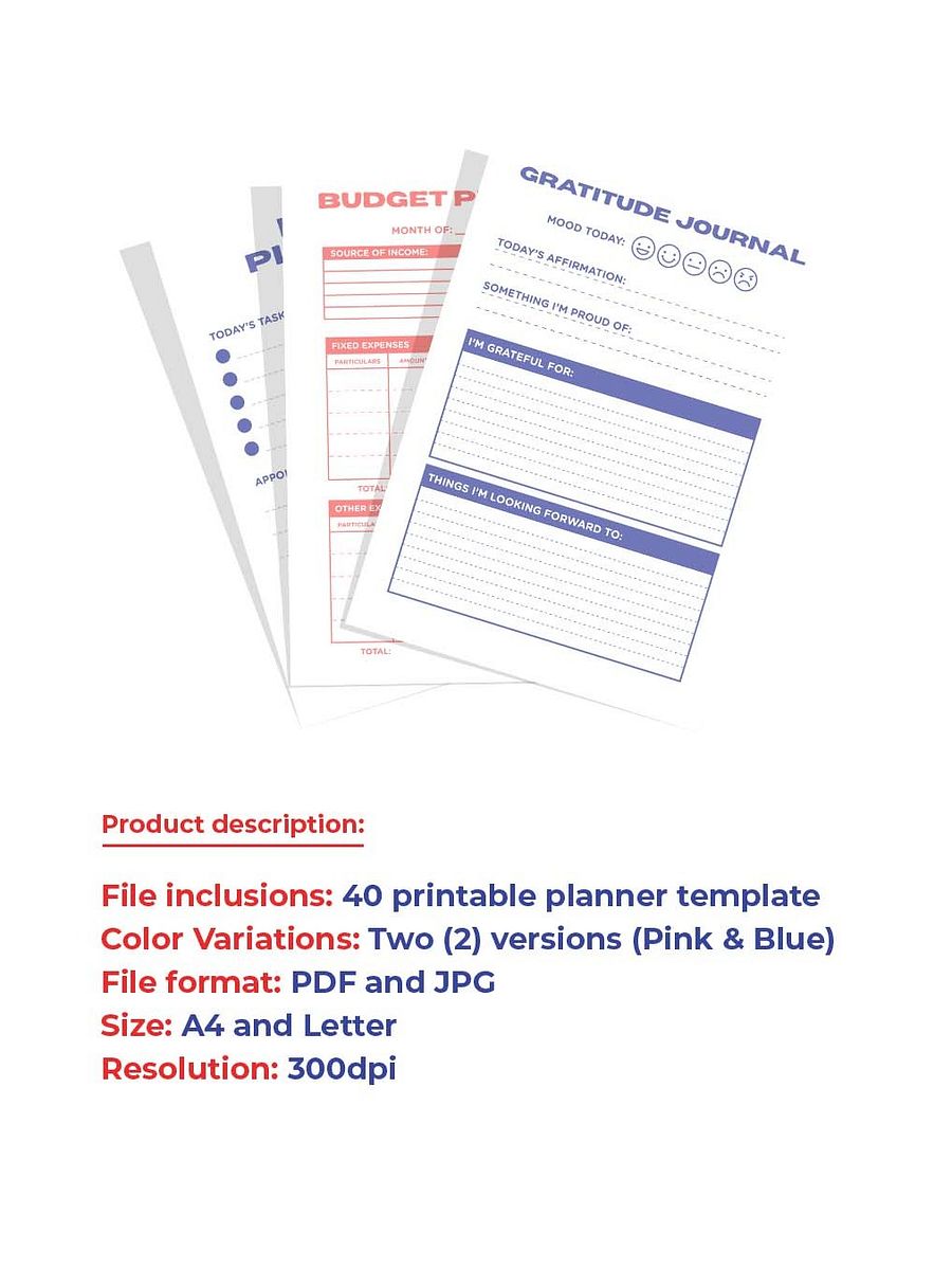 2024 40 Pages Undated Printable Ultimate Planner l Organizers - Instant Download product image (4)
