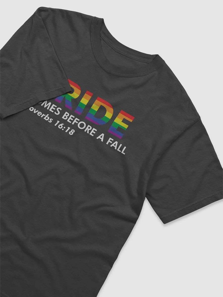 Pride... Before a Fall product image (3)