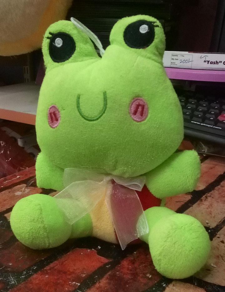 FROG SOFT TOY product image (1)
