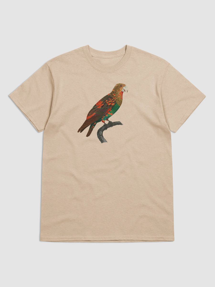 Vibrant Parrot Perch Tee product image (7)