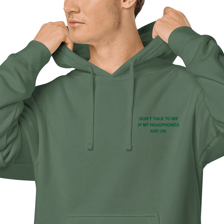 L.C. HEADPHONES ON (kelly) embroidered pigment hoodie product image (1)