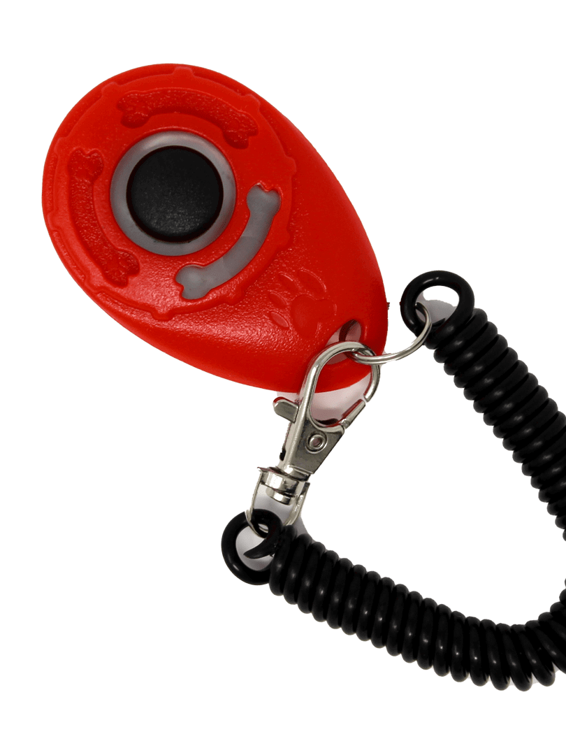 Cat Training Clicker - Assorted Colours product image (1)