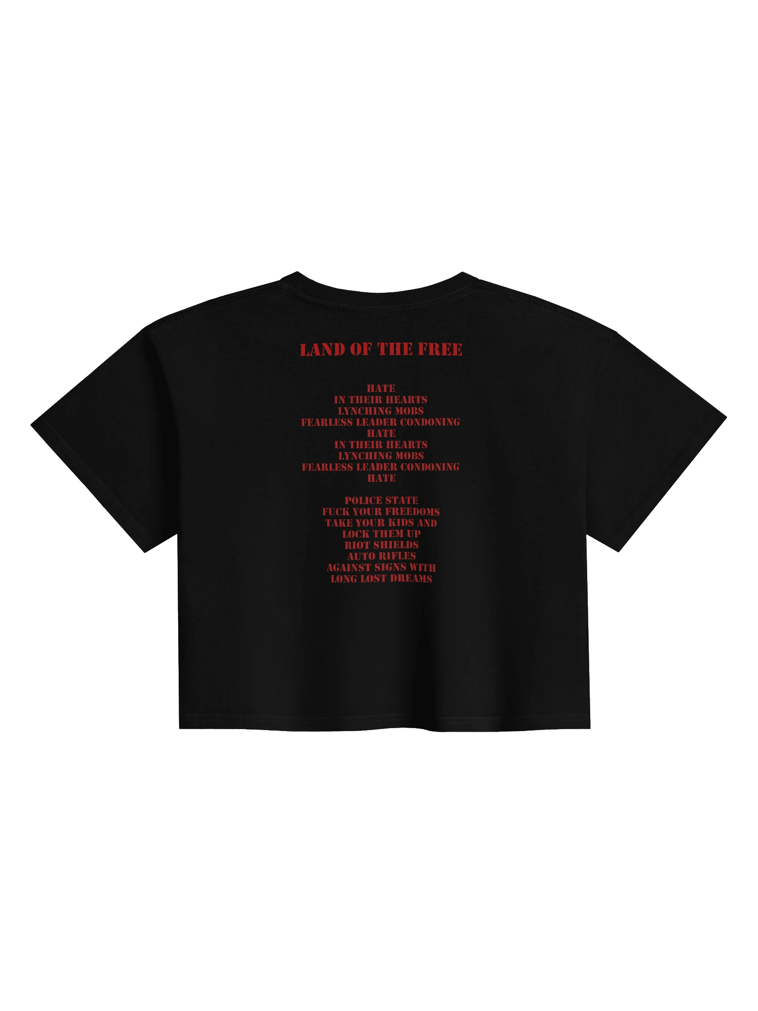 Women's "Land of the Free" lyric Crop Top product image (2)