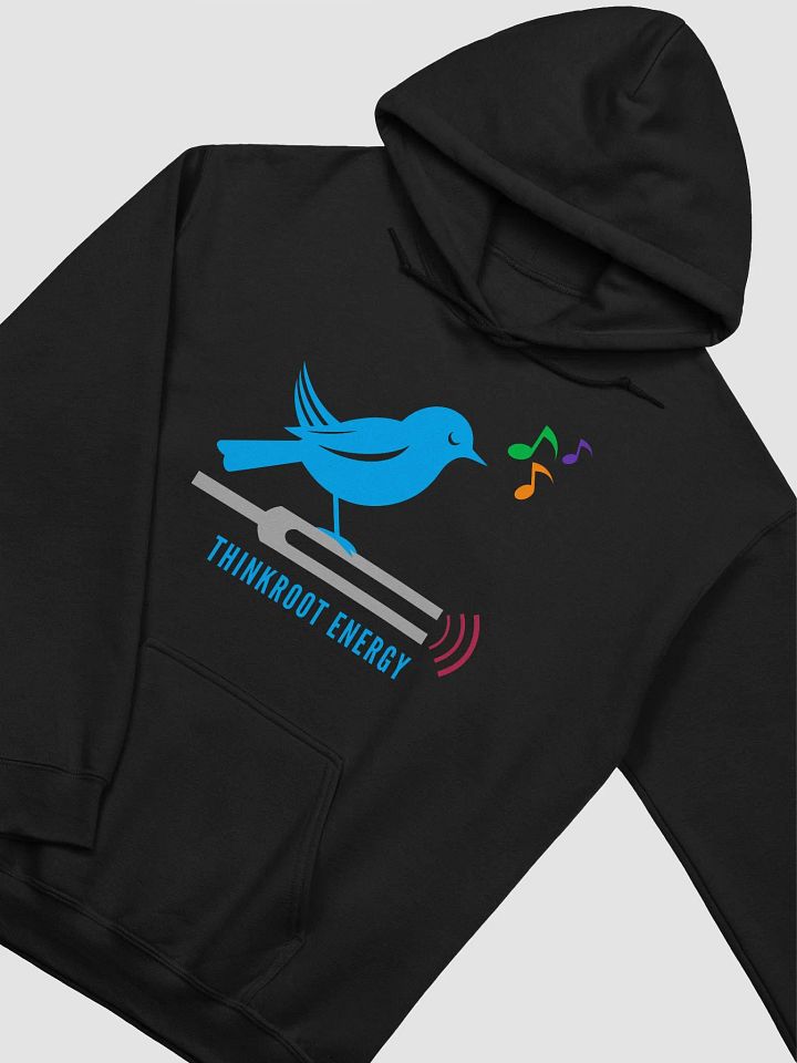 Birdsong + Tuning Forks Hoodie product image (13)