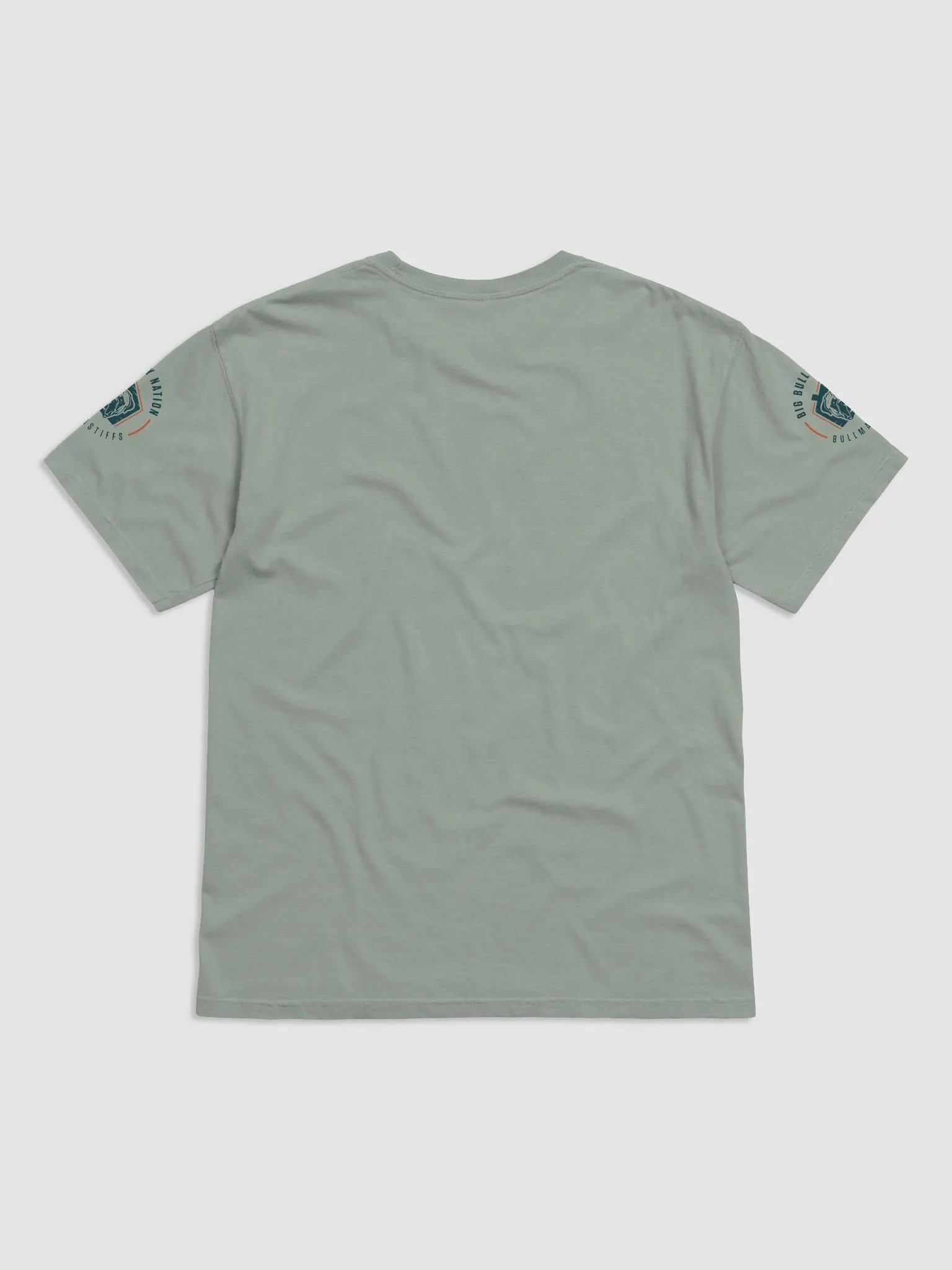 BBN Logo 2 Comfort T-Shirt product image (2)