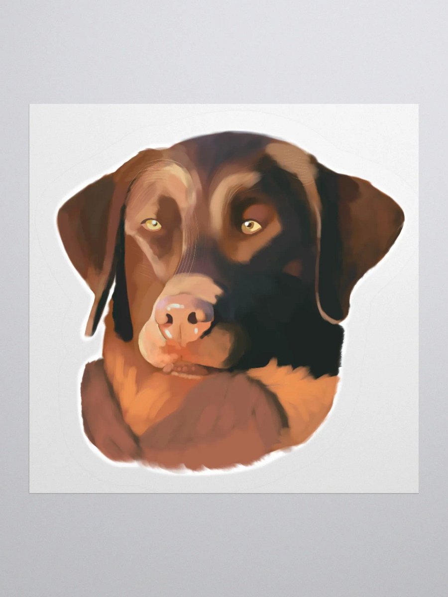 Chesapeake Bay Retriever product image (3)