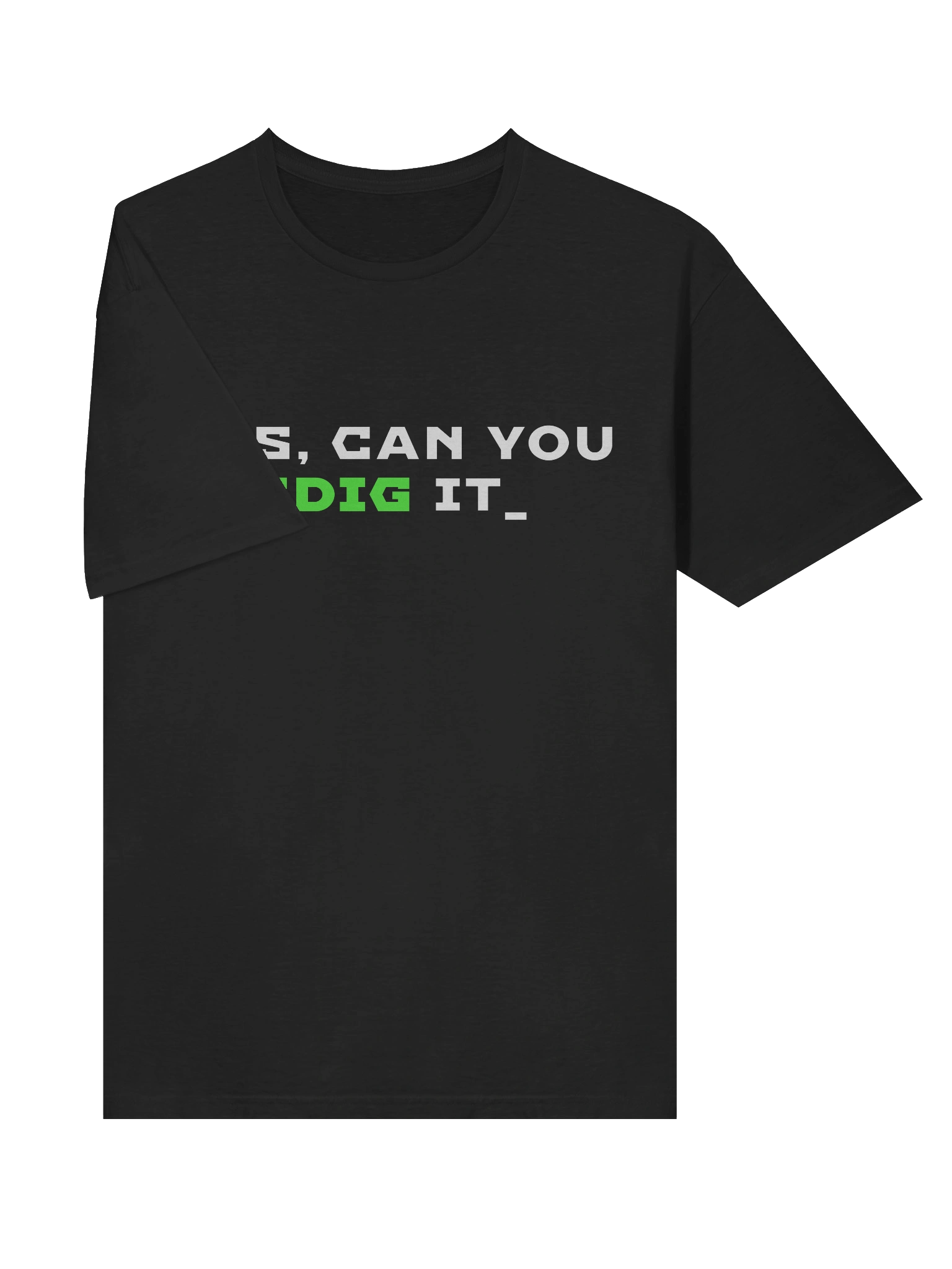 DNS - Can you Dig It? product image (5)