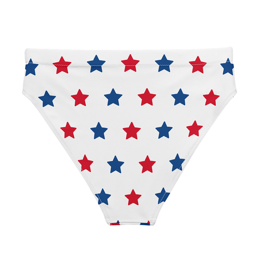 Stellar Recycled High Waisted Bikini Bottom product image (2)