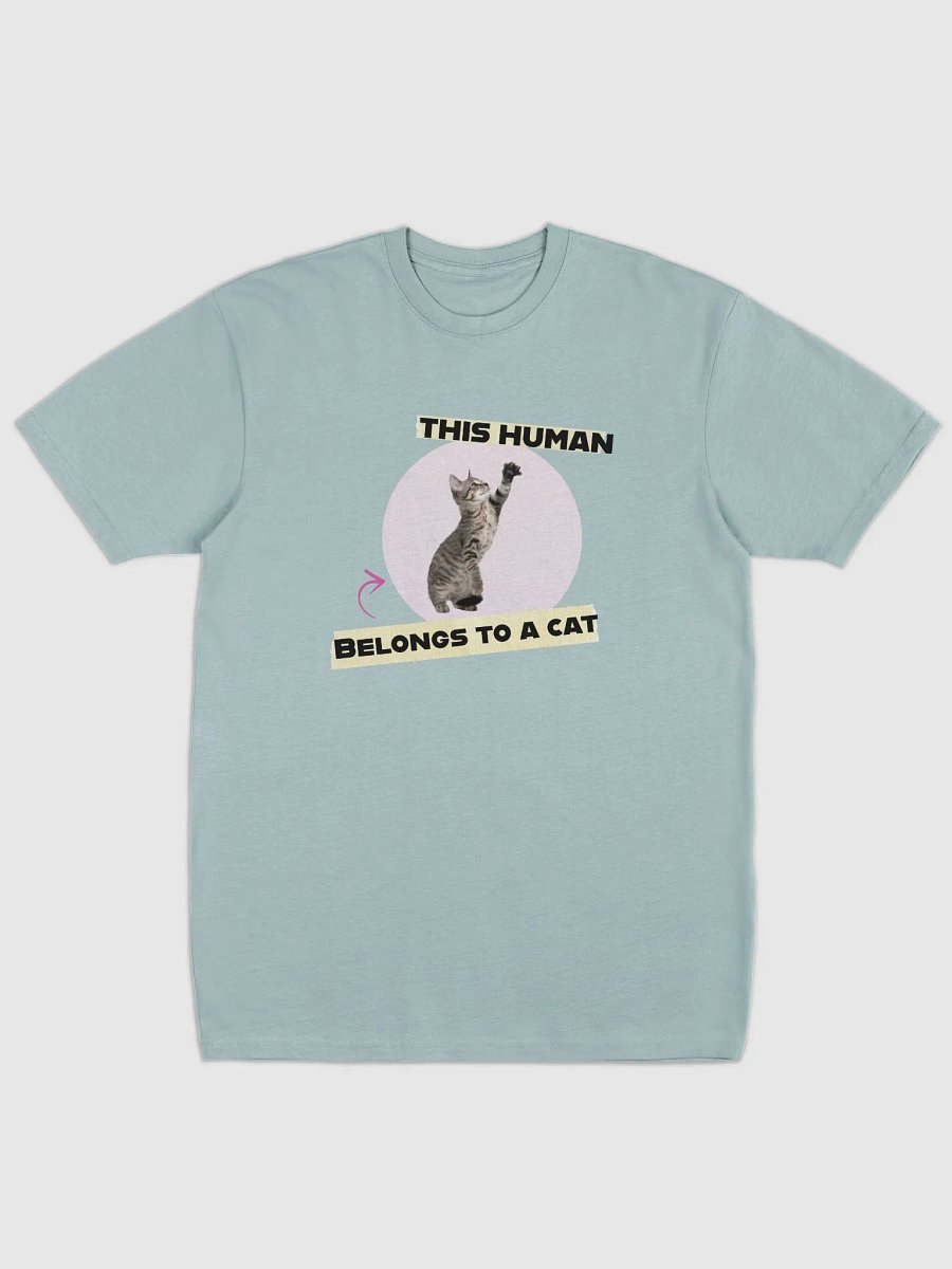 Playful Kitten 'Owned by a Cat' Tee product image (6)