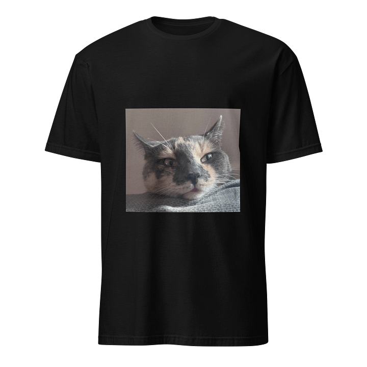 Kitty “Mugshot” Graphic Short Sleeve Tee product image (1)