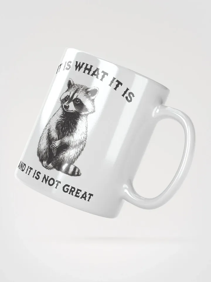 Raccoon It Is What It Is Mug product image (2)