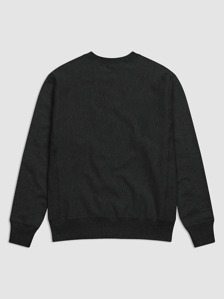THIS IS NOT A PLACE OF HONOR (Champion sweater) product image (6)