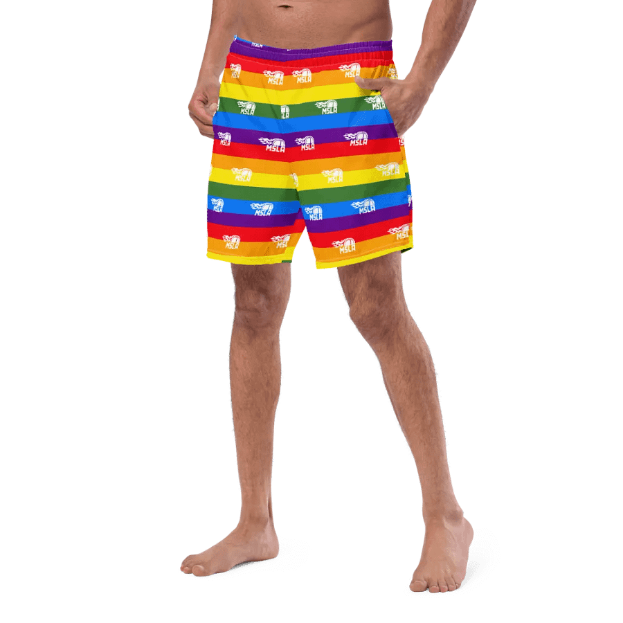 MSLA Pride - Swim Trunks product image (7)