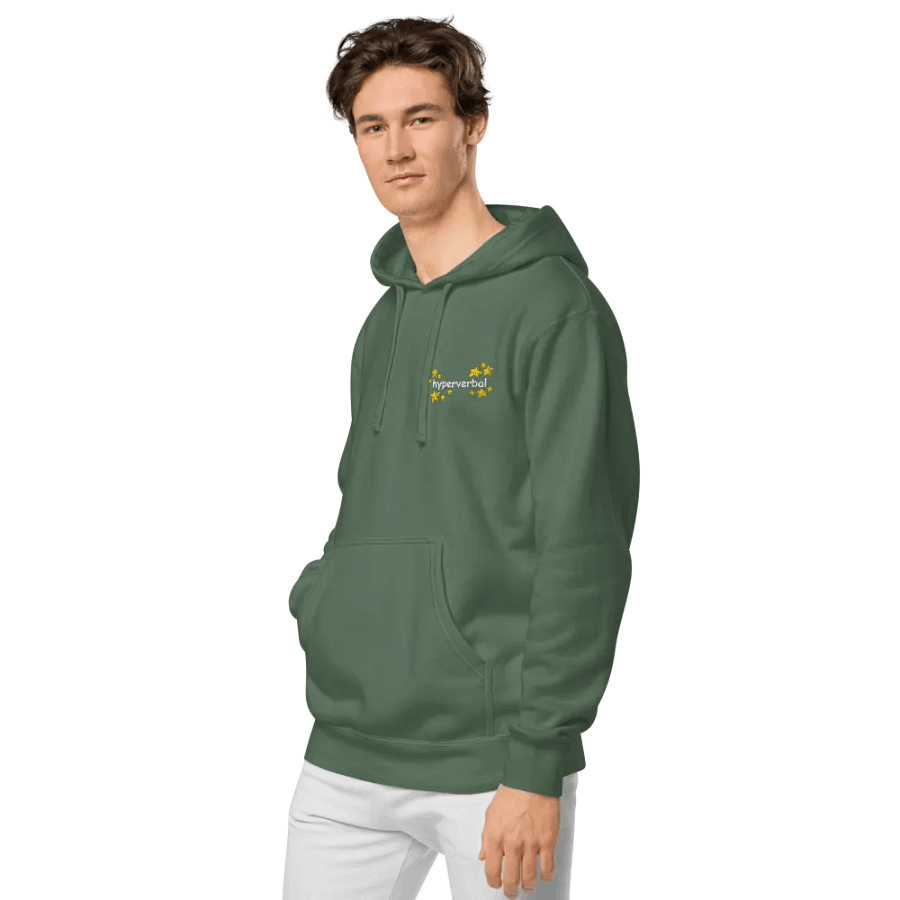 hyperverbal (L.C., comic sans and stars) embroidered pigment-dyed hoodie product image (5)