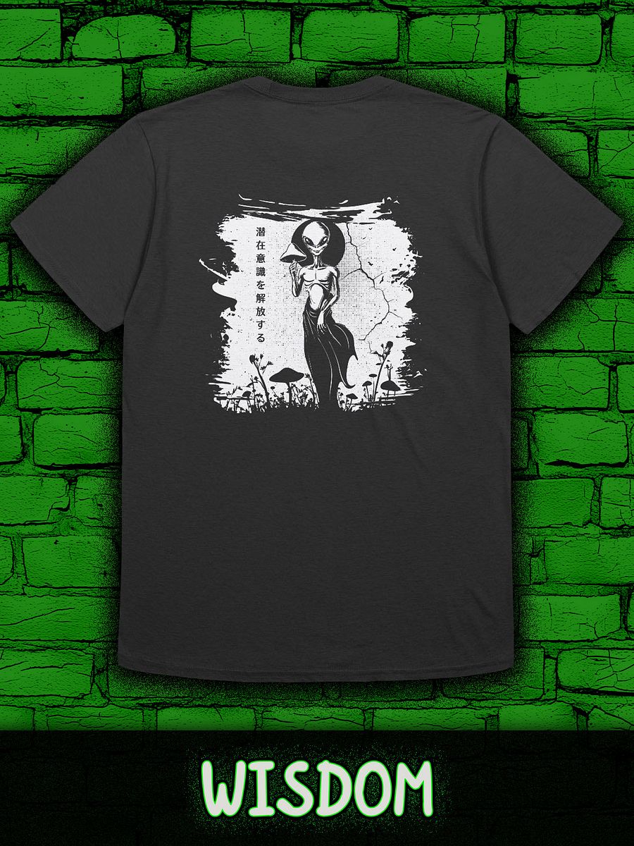 WISDOM Gildan Unisex Softstyle T-Shirt product image (1)