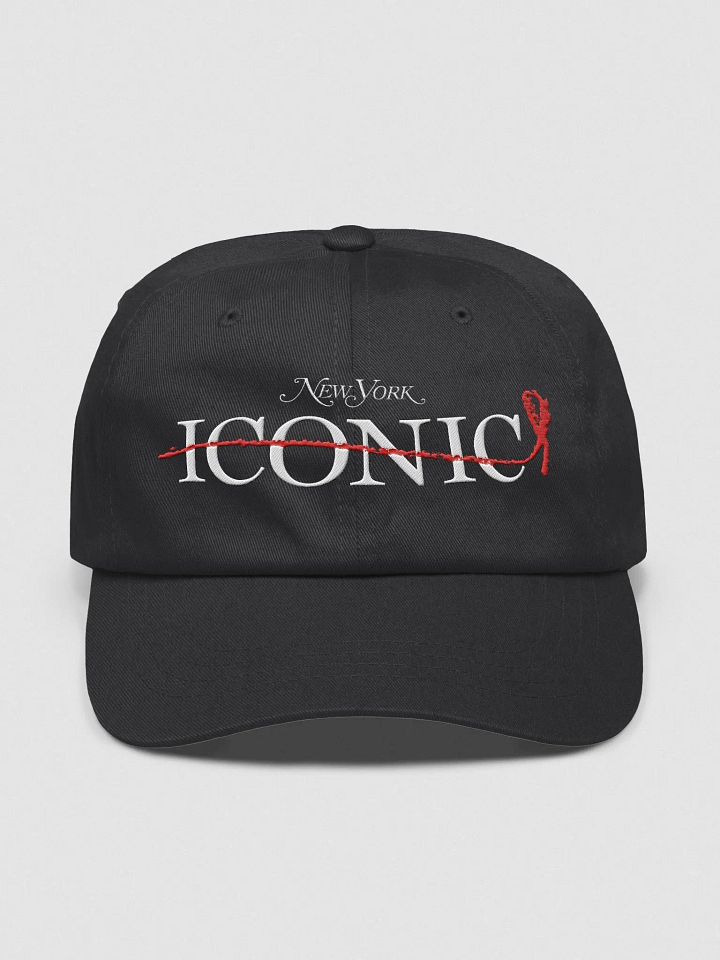 Queries ICONIC Baseball Cap product image (1)