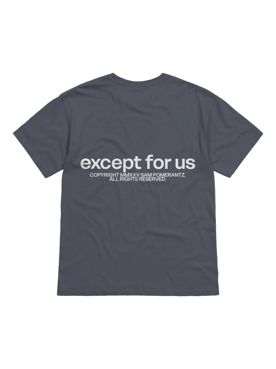 Except For Us Threshold Tee 2 product image (7)