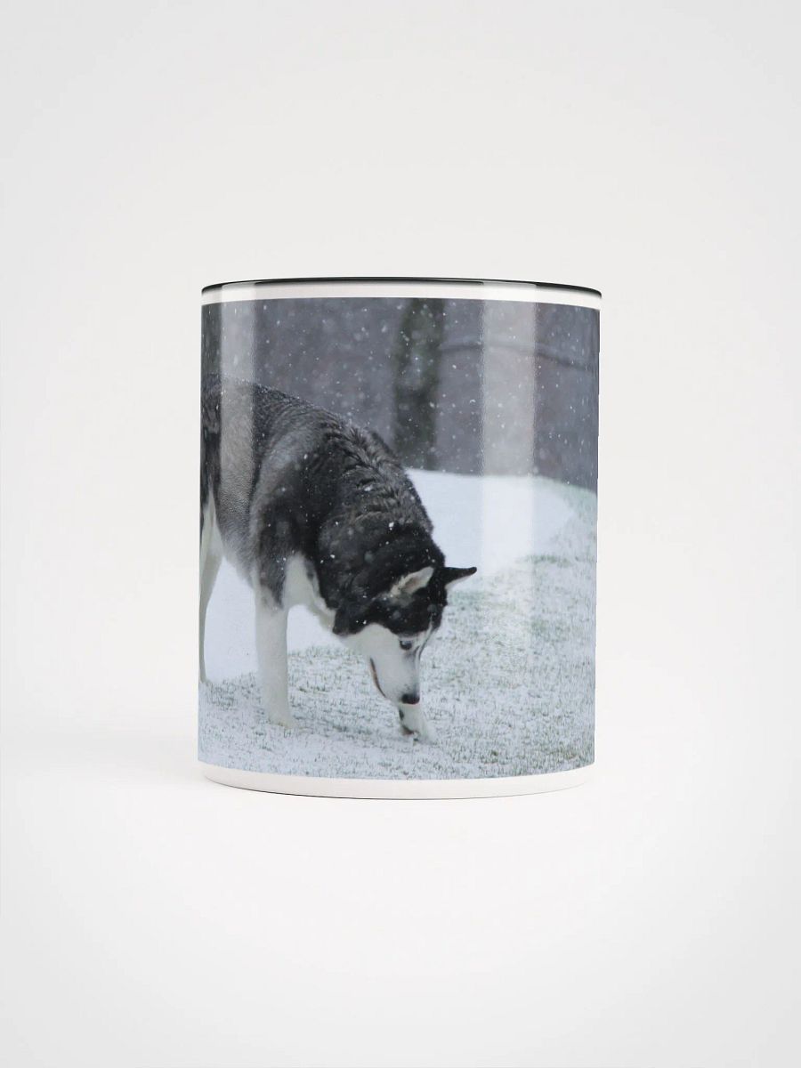 Blue Eye Siberian Husky in the Snow with Trees in the background product image (1)