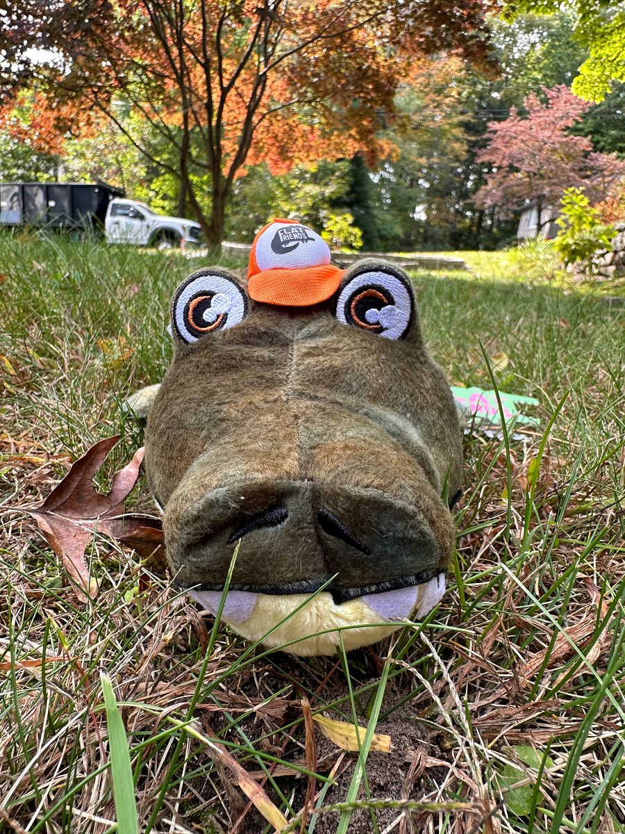 Alligator Plush product image (2)