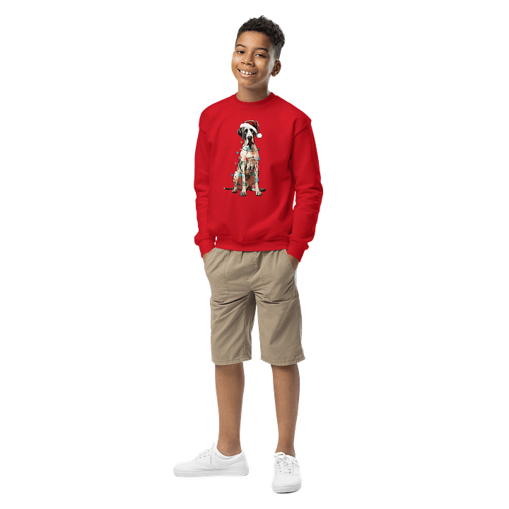Funny Christmas Great Dane(Harlequin) Youth Sweatshirt product image (3)
