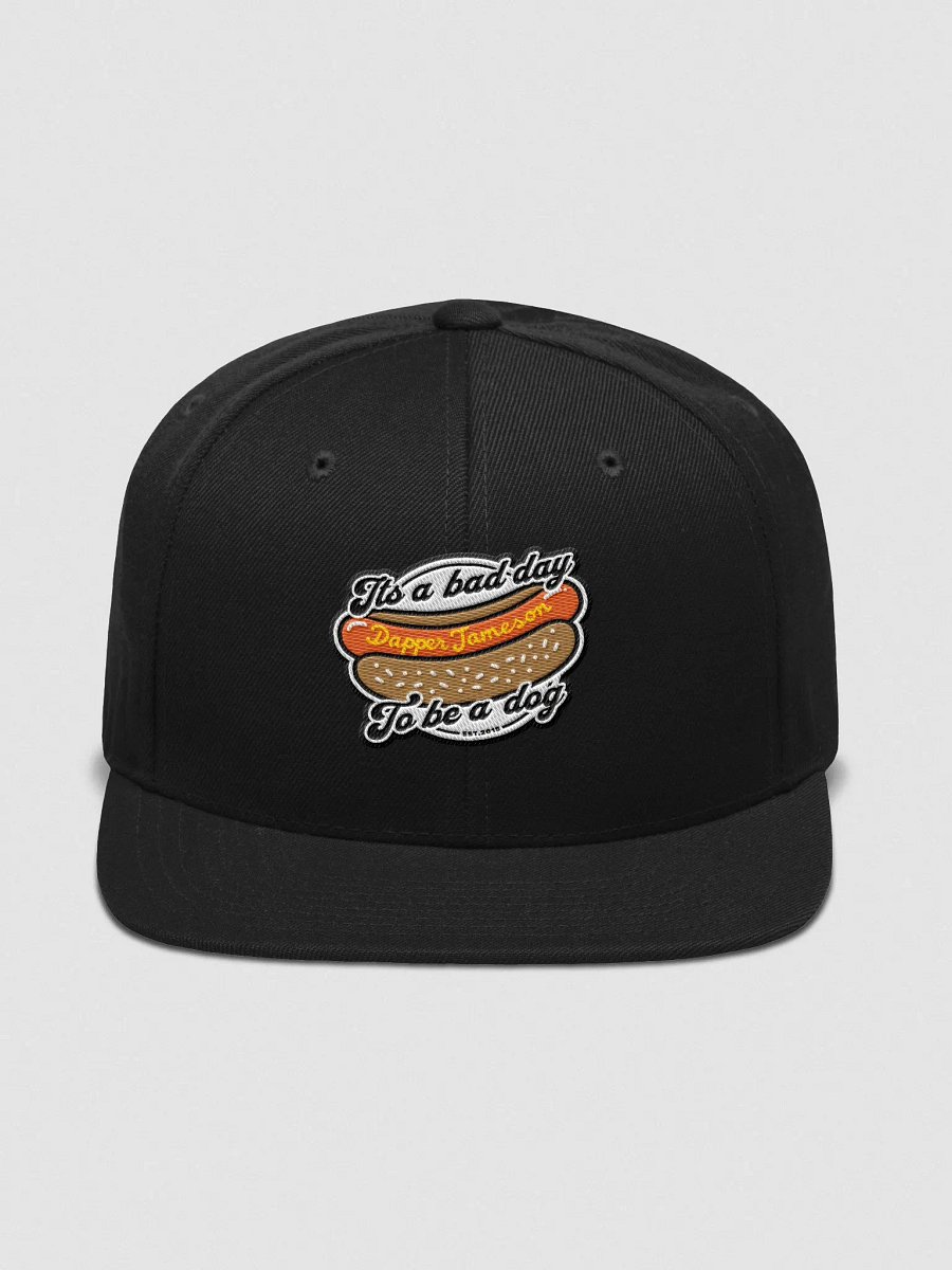 BAD DAY TO BE A DOG SNAPBACK product image (6)