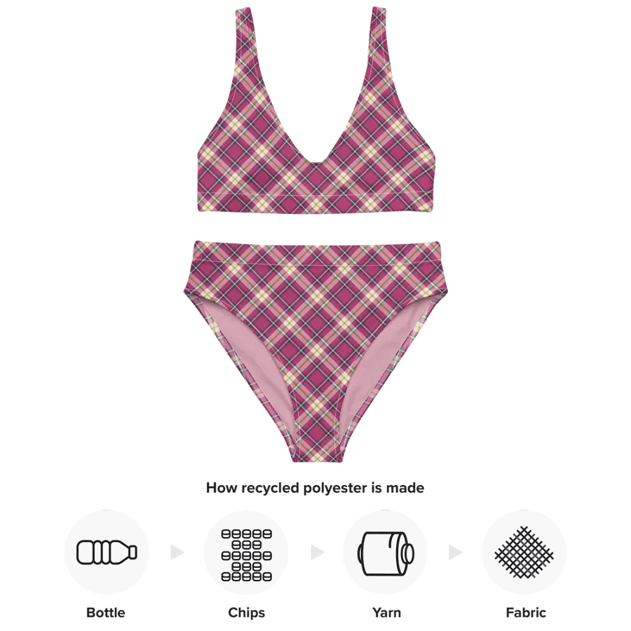 Raspberry Pink and Navy Plaid Bikini product image (10)