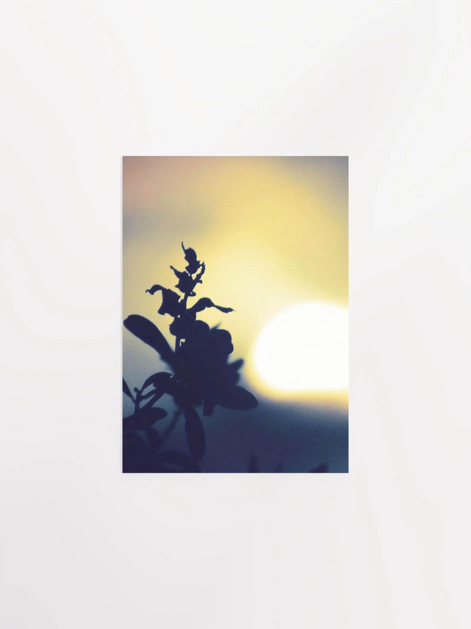 Yellow Plant Glow product image (7)