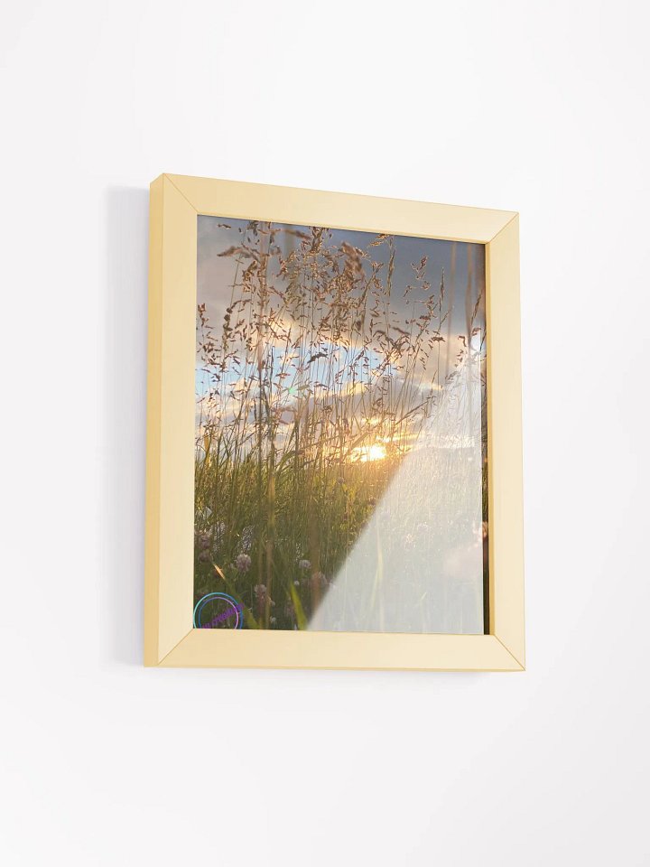 Looking Through the grass product image (2)
