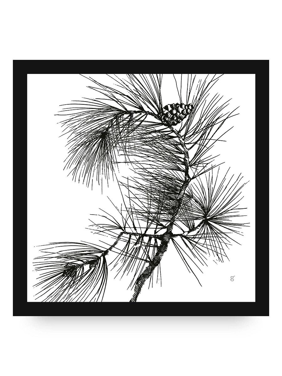 Blank Canvas Collection - Pine Branch product image (98)