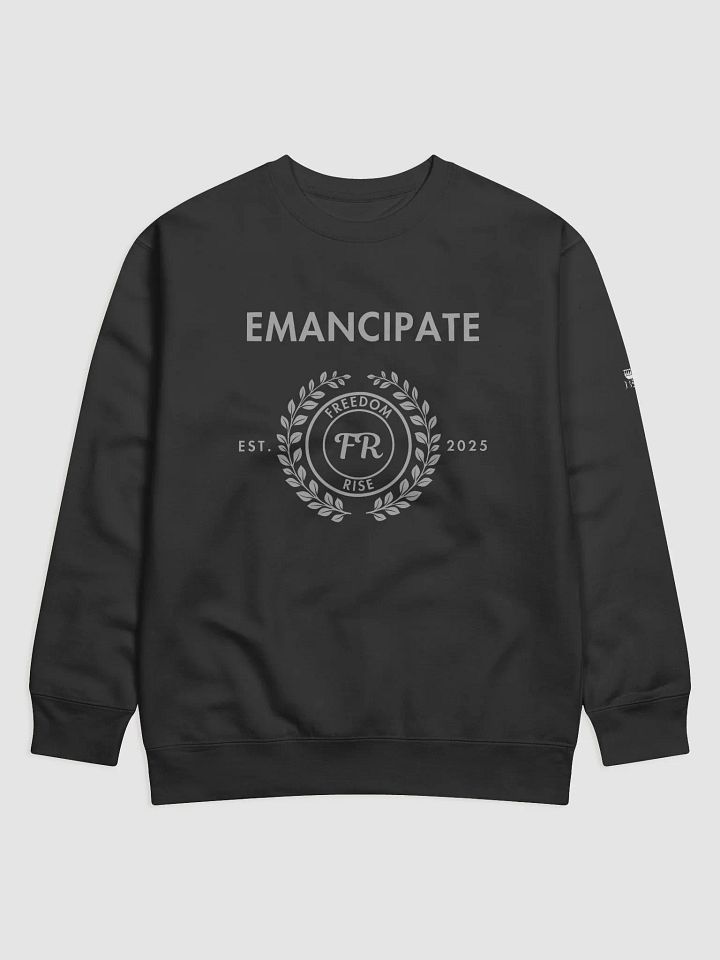 Emancipate: Freedom Rise product image (5)