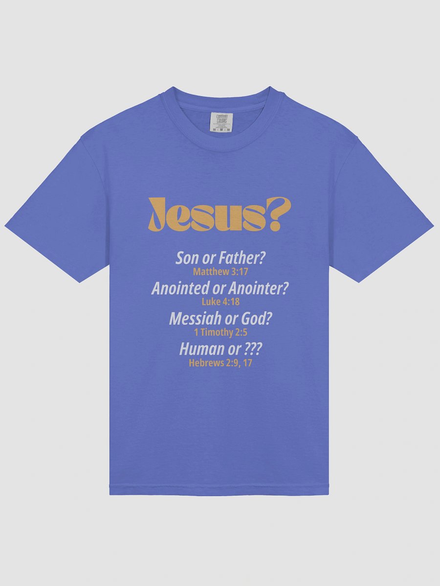 Who is Jesus Heavyweight Relaxed Fit T-Shirt product image (41)