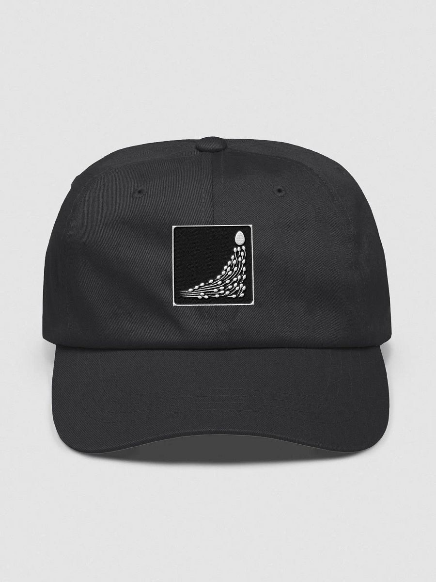 f/acc hat product image (1)