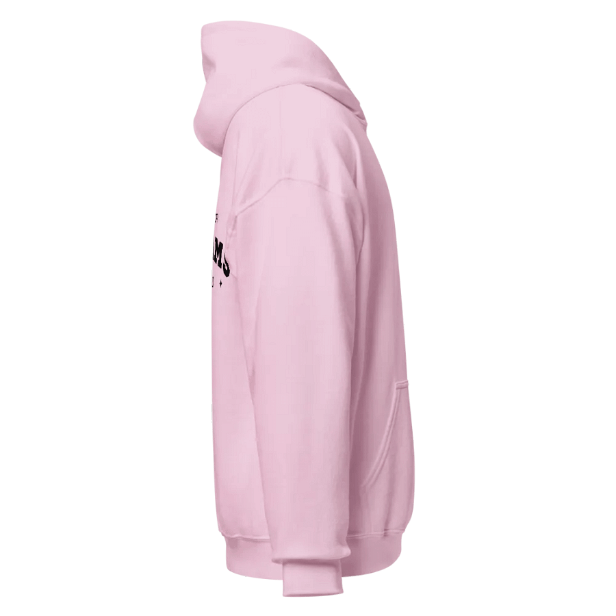 Embroidery Stealthy Comfort Hoodie "Leave Your Dream To God" product image (5)