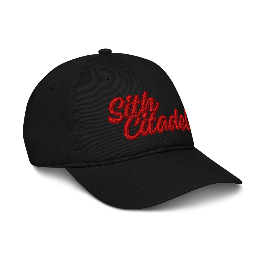 Sith Citadel Organic Dad Cap product image (6)