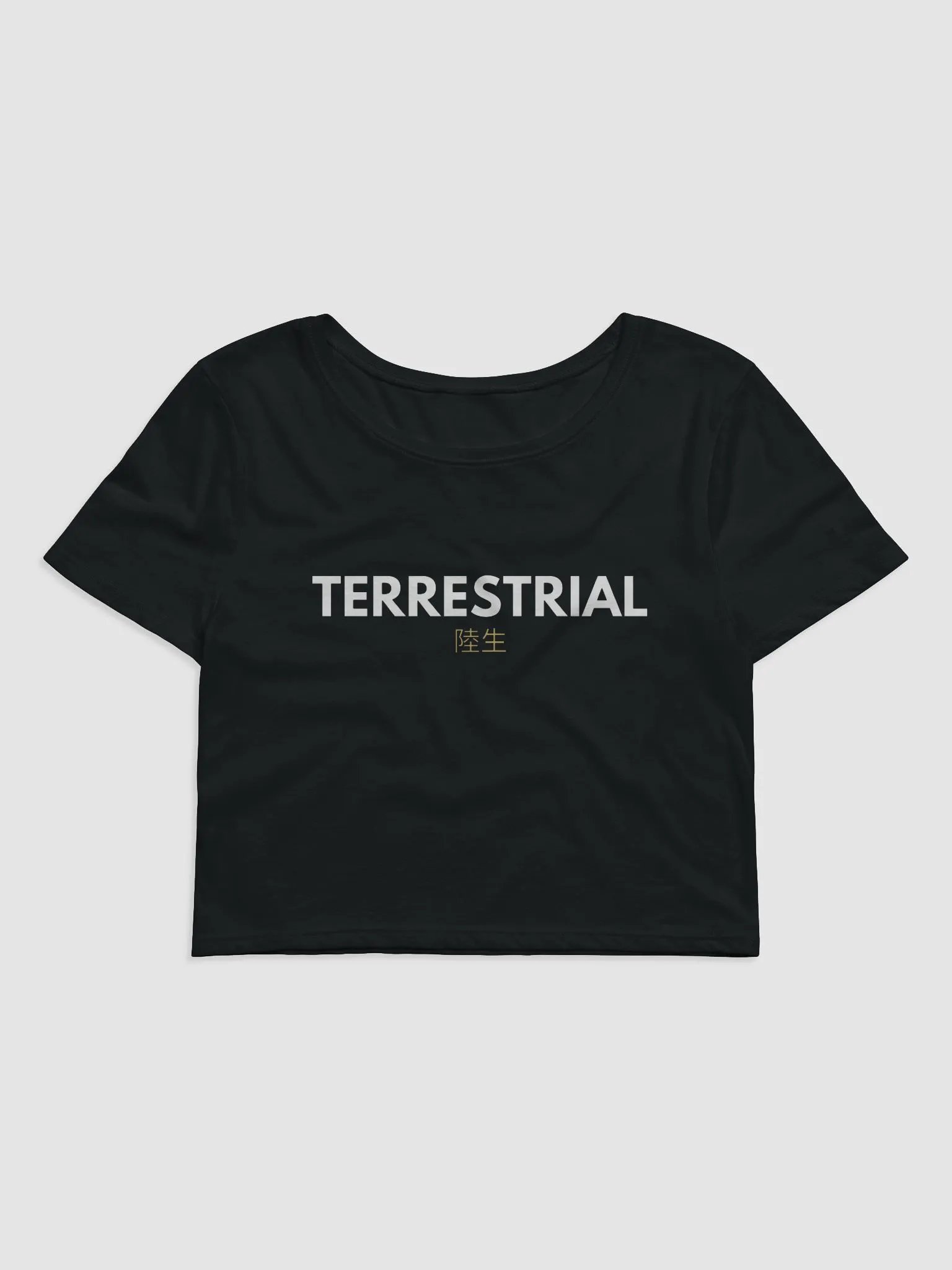 Terrestrial Logo Crop Tee product image (1)