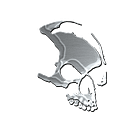 The Apollo Skull Armada