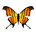 Marpesia