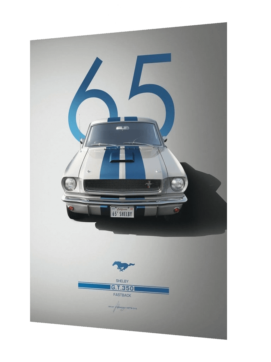 GT 350 product image (2)
