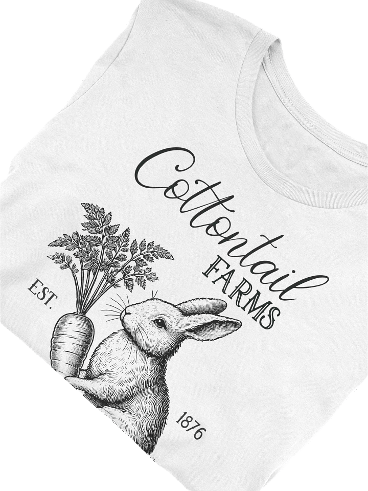 Cottontail Farms Vintage Ladies Tee product image (2)
