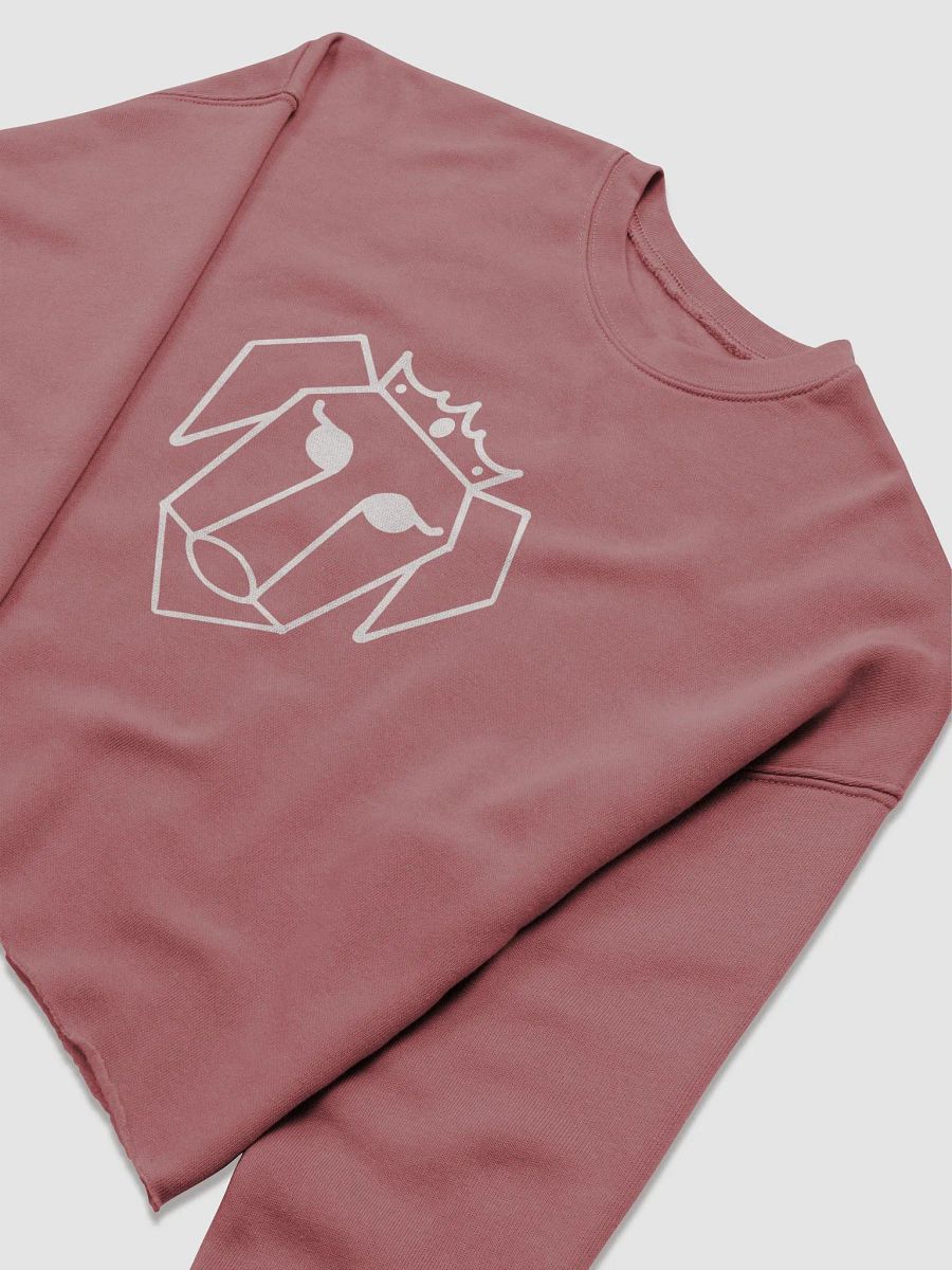 White Xena XP Logo Crop Sweatshirt product image (27)