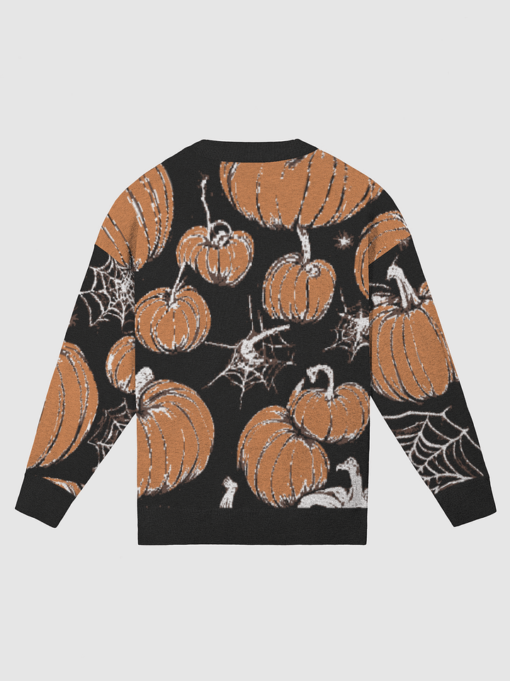 Pumpkin Patch Relax Fit Sweater (Exclusive) product image (2)