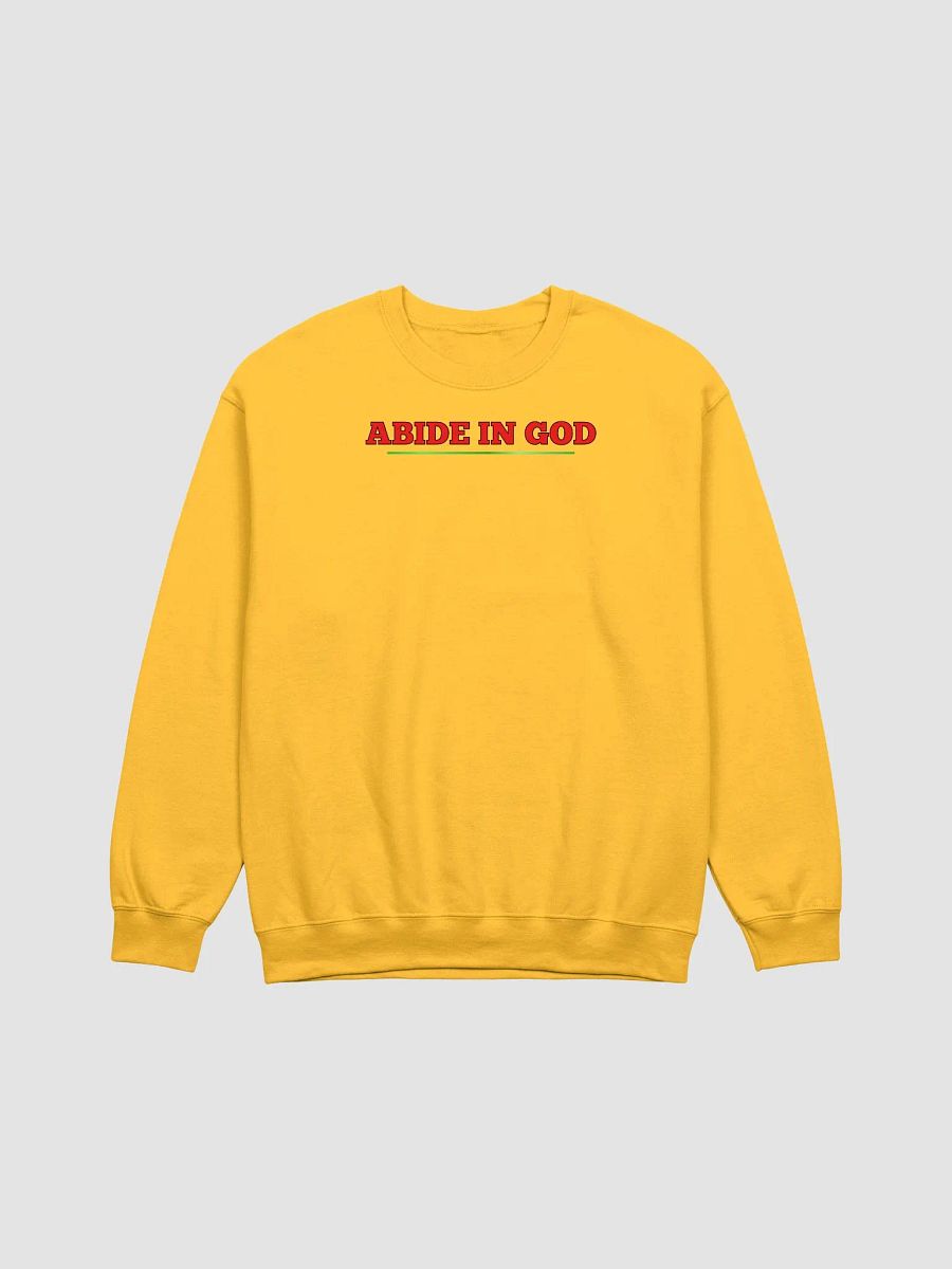 Abide in GOD product image (1)