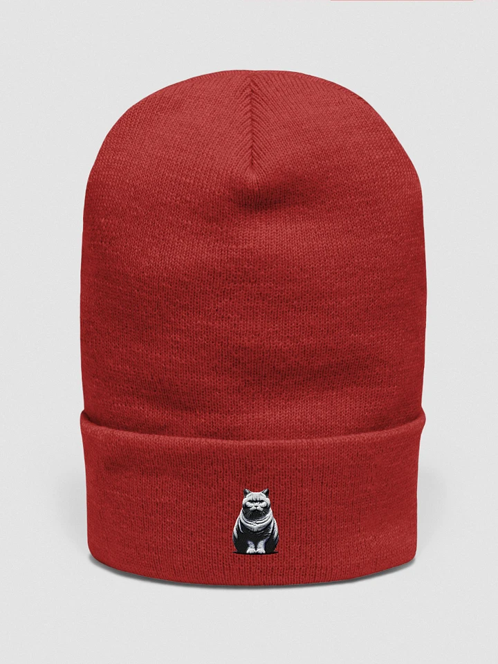 Yupoong Cuffed Beanie: British Shorthair product image (32)