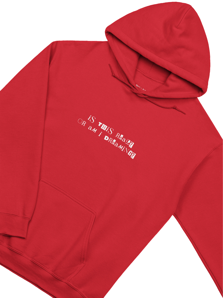 Is This Real / Am I Dreaming Hoodie product image (3)