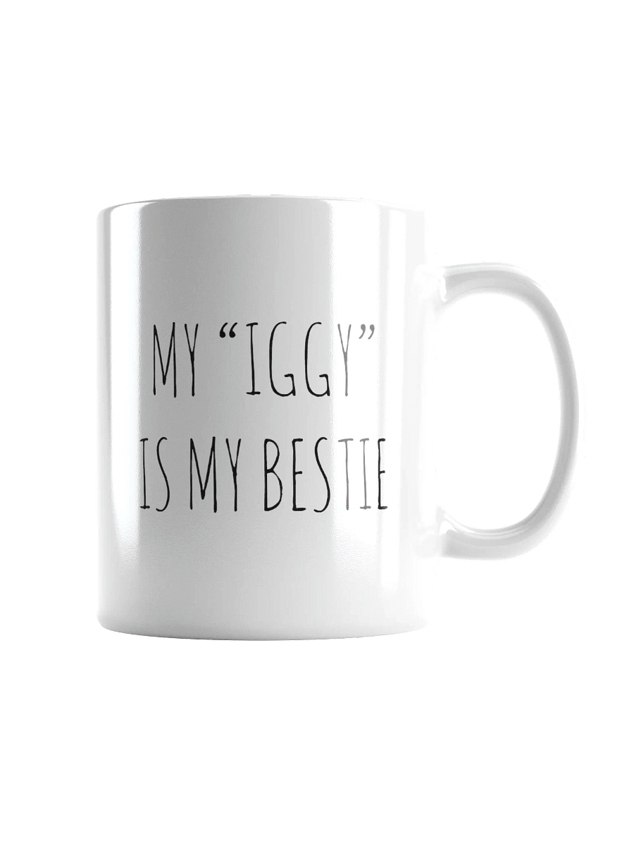 My "Iggy" Is My Bestie Minimalist Rustic Chic Mug product image (2)