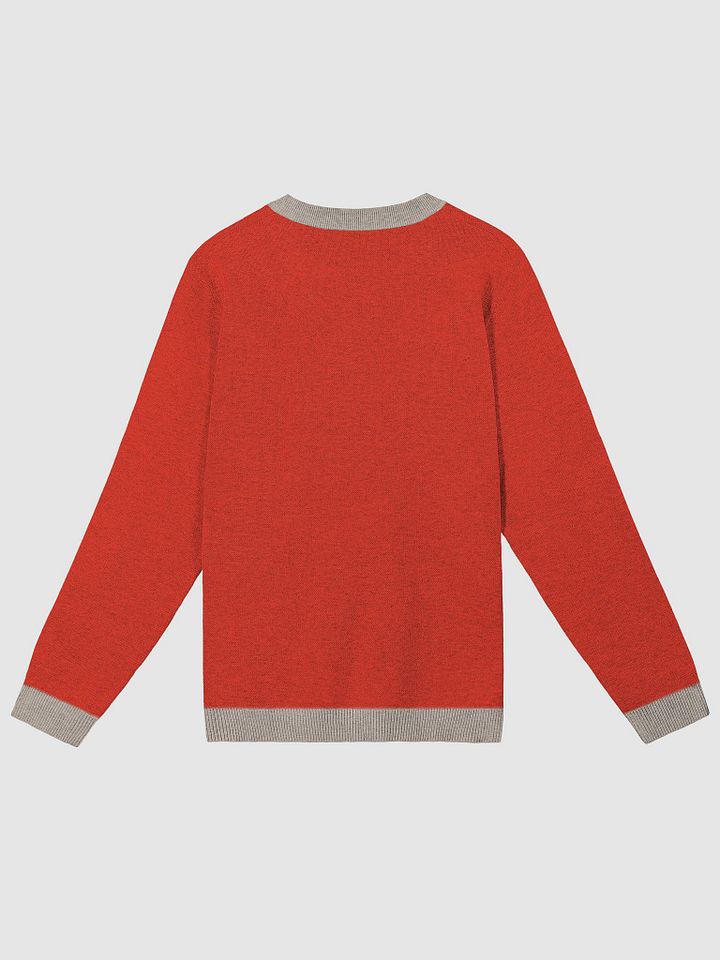 Mens Jumper product image (2)