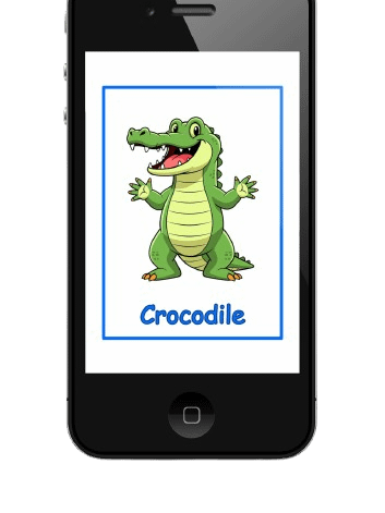 Digital Flashcards Bundle product image (5)