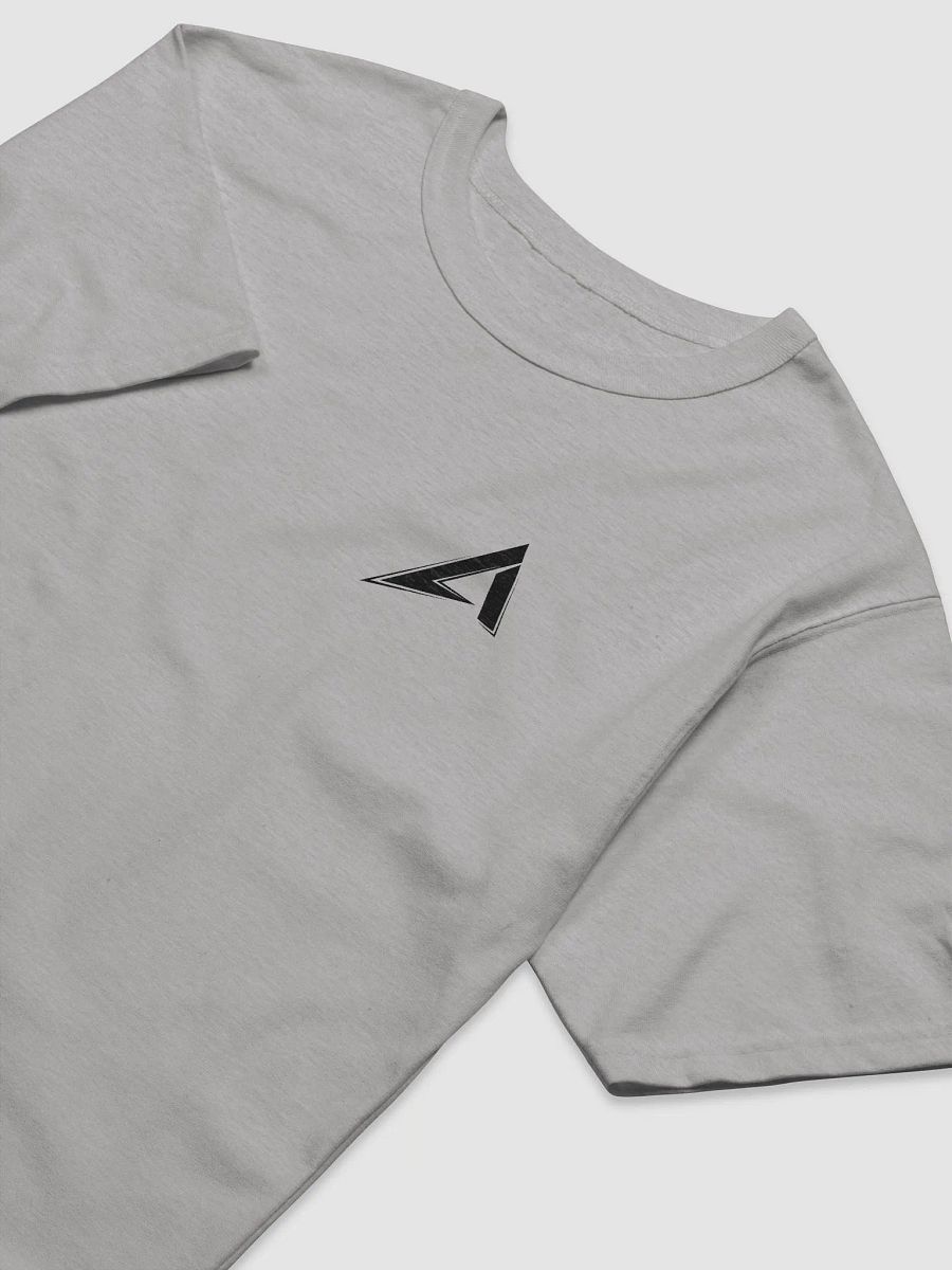 Amp Classics T-Shirt (Gray) product image (3)